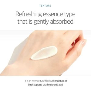 Round Lab – Birch Juice Moisturizing Sun Cream SPF50+ PA++++ – Moisturizing SPF Cream – 50 ml